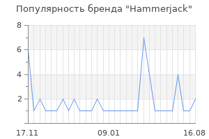 Популярность бренда hammerjack