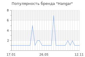 Популярность бренда hangar