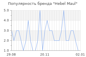 Популярность бренда hebel maul