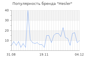 Популярность бренда hesler