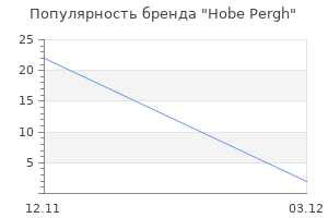 Популярность бренда Hobe Pergh