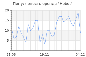 Популярность бренда hobot