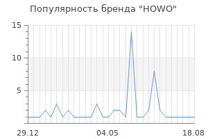 Популярность бренда howo