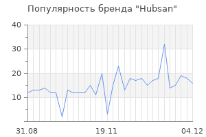 Популярность бренда hubsan