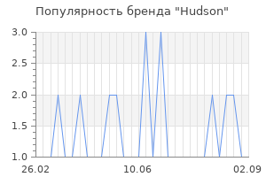 Популярность бренда hudson