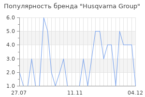 Популярность бренда husqvarna group