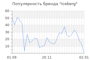 Популярность бренда iceberg