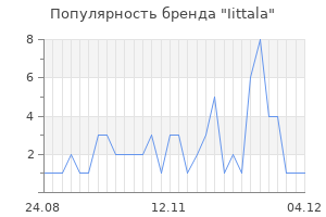 Популярность бренда iittala