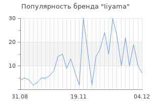 Популярность бренда iiyama