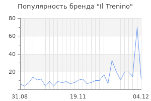 Популярность бренда il trenino