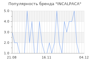 Популярность бренда incalpaca