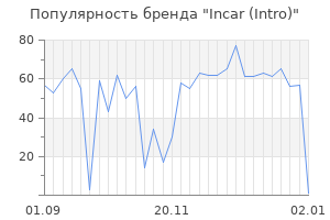 Популярность бренда incar intro
