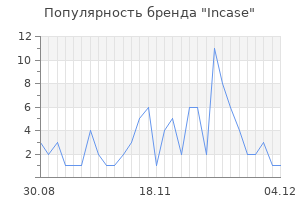 Популярность бренда incase
