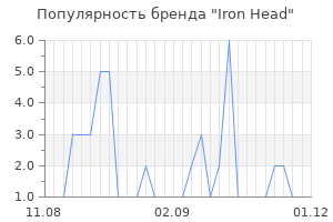 Популярность бренда iron head