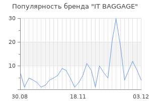 Популярность бренда it baggage