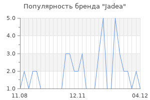Популярность бренда jadea