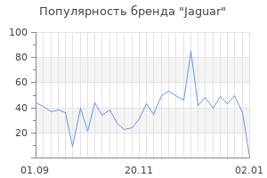 Популярность бренда jaguar
