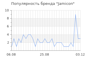 Популярность бренда Jamicon