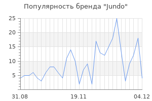 Популярность бренда jundo