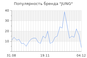Популярность бренда jung