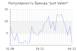 Популярность бренда just valeri