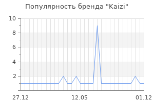 Популярность бренда kaizi
