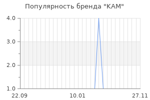 Популярность бренда kam