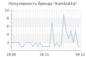 Популярность бренда kambukka