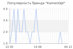 Популярность бренда KamenOpt