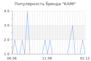 Популярность бренда kami