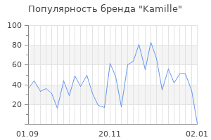 Популярность бренда kamille