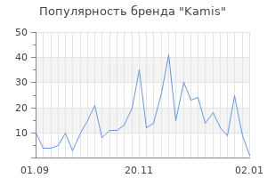 Популярность бренда kamis