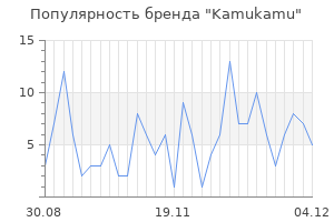Популярность бренда kamukamu