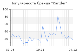 Популярность бренда kanzler