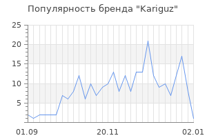 Популярность бренда kariguz