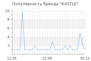 Популярность бренда kastle