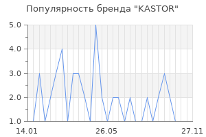Популярность бренда kastor
