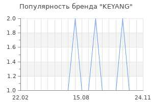 Популярность бренда KEYANG