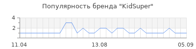 Популярность KidSuper