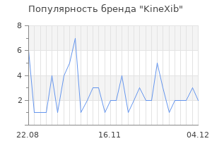 Популярность бренда kinexib