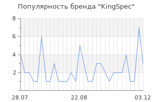 Популярность бренда KingSpec