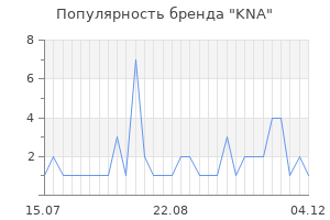 Популярность бренда kna