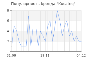 Популярность бренда kocateq