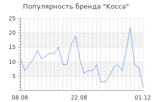 Популярность бренда kocca