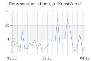 Популярность бренда kunstwerk