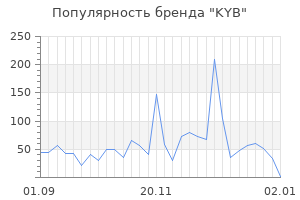 Популярность бренда kyb