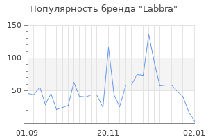 Популярность бренда labbra