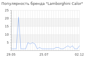 Популярность бренда lamborghini calor