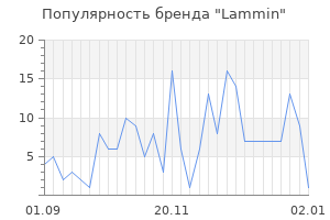 Популярность бренда lammin
