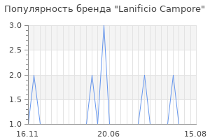 Популярность бренда lanificio campore